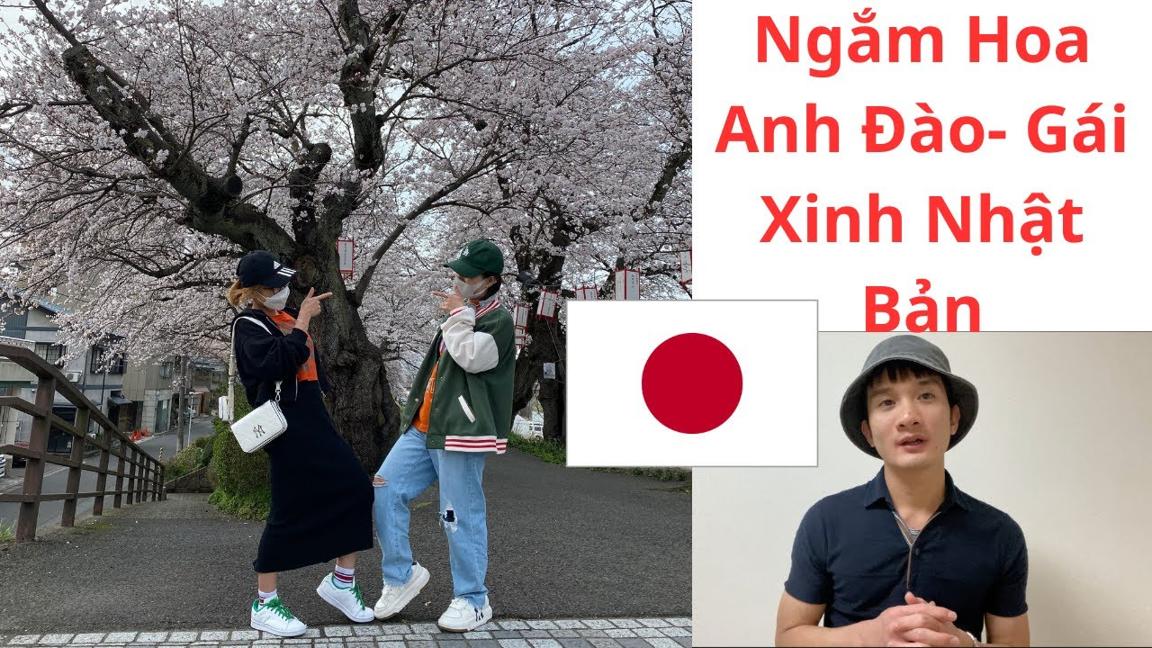 Ngắm Hoa Anh Đào - Gái Xinh Tại Fukui Nhật Bản - Part 1 (Seeing Cherry Blossoms in Japan)